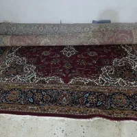فرش|فرش|مرودشت, بیست متری بیمارستان|دیوار