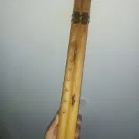 لاکوتا سرخپوستی گام می