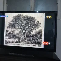 یک دستگاه تلویزیون