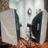 فلاشر دو شاخه گودکس