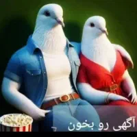 قناری حلقه پا نرمست مست