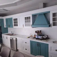 رنگ چوب پلی اورتان پلیستر کاریناکیش