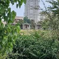 فروش زمین ۲۵۰ متری با مدارک معتبر/چمخاله|فروش زمین و ملک کلنگی|چاف و چمخاله, |دیوار
