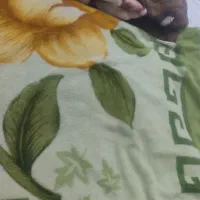 شستشوی پتو و روتختی   با ارسال رایگان