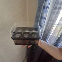 تخم مرغ پز