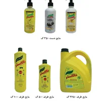 فروشنده تلفنی در منزل محصولات شوینده و بهداشتی|استخدام بازاریابی و فروش|اصفهان, روشن‌دشت|دیوار