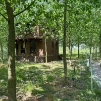 ویلای جنگلی با شرایط پرداخت منعطف