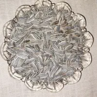 تخمه