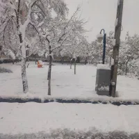 اندیشه-71-آسانسور-دار