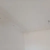 گچ کاری و گچ بری