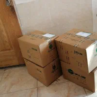 درمان اعتیاد و پاکسازی|خدمات آرایشگری و زیبایی|ساوه, |دیوار