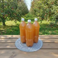 سرکه سیب ۱۰۰٪ طبیعی و ارگانیک (خانگی)