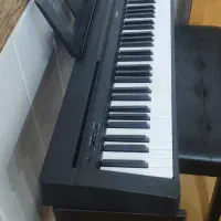 YAMAHA P-45