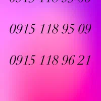 09151189509