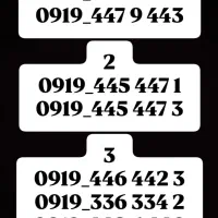 فروش فوق العاده خط 0919