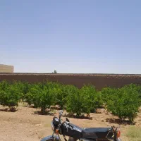 چهاردیواری-زردنجان