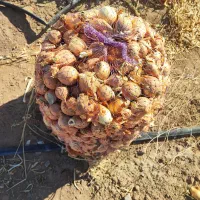 پباز ضایعاتی برای مرغداری و دامداری