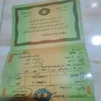 شناسنامه آقای نامدار قالبی حاجیوند پیدا شده