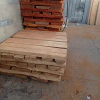 فروش انواع چوب ایرانی و خارجی