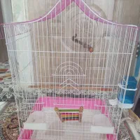 قفس عروس هلندی نو نو