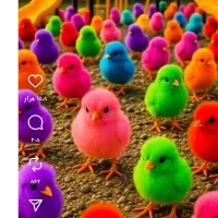 نظافت و آشپزی برای خانواده ۴ نفره