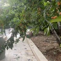 باغ ویلا دلنشین ۴۷۰زمین۲۱۰بنا ارزشمند در*مهراباد*|فروش خانه و ویلا|رودهن, |دیوار