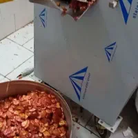 انار دانه کن و ابگیری|خدمات پذیرایی، مراسم|زارچ, |دیوار