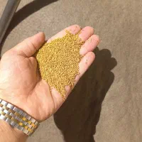 بذر یونجه رنجر آمریکایی در داراب با کیفیت|عمده‌فروشی|داراب, |دیوار