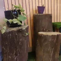 صندلی با تنه درخت