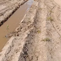 فروش ۱ هکتار باغ پسته با ۴ ساعت آب|فروش دفتر صنعتی، کشاورزی، تجاری|تربت‌حیدریه, پیشکوه|دیوار