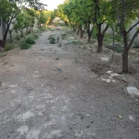 باغ ۷۶۰ متری درختان مثمر۱۰ ساله بلوار توس توس ۱۴۱|فروش خانه و ویلا|مشهد, دوست آباد|دیوار