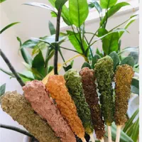 قند تزئینی بدون گلوکز نبات رنگی|خوردنی و آشامیدنی|قم, گلزار|دیوار