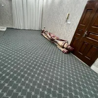 موکت طرح دار