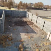 سالن پرورش مرغ تخمگذار|اجارهٔ دفتر صنعتی، کشاورزی، تجاری|فلاورجان, |دیوار