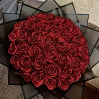 گل ربانی(جاودانه)|گل مصنوعی|زابل, |دیوار