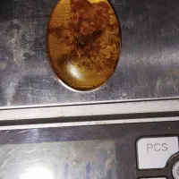 اجناس کلکسیونی ودکوری فروشی|کلکسیون اشیاء عتیقه|تهران, گیشا|دیوار