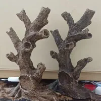 تنه درختچه