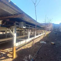 دستگاه|ماشین‌آلات صنعتی|رفسنجان, |دیوار