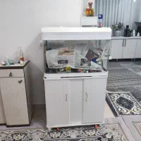 آکواریوم شیشه خم ۸۰ سانتی متر