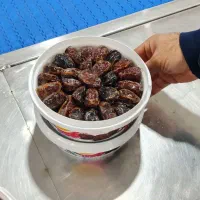 نیازمند نیروی کار خانم در بسته بندی خرما