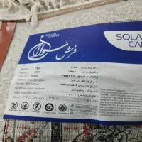 فروش  قالی|فرش|دهدشت, |دیوار