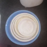 زیرگلدانی پلاستیکی