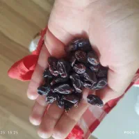 مویز سیاه کلستان|خوردنی و آشامیدنی|شیراز, ریشمک|دیوار
