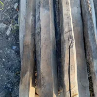 درخت و چوب شما را به روز|خدمات باغبانی و درختکاری|اردبیل, |دیوار