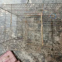 خونه ی پرنده دست دوم طول48 سانت عرض 32 سانت|لوازم جانبی حیوانات|گنبد کاووس, |دیوار