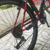 دوچرخه ۲۴ دنده ای سالم|دوچرخه، اسکیت، اسکوتر|گنبد کاووس, |دیوار