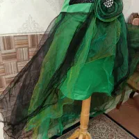 لباس مجلسی های شیک ...و فوق‌العاده زیبا هستن.|لباس|شیراز, دشت چنار|دیوار