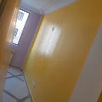 نقاشی و تعمیرات ساختمان باقیمت مناسب|خدمات پیشه و مهارت|ماهدشت, |دیوار