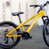 دوچرخه سان اسپید سایز 24