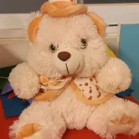 عروسک خرسی،سالم و نو